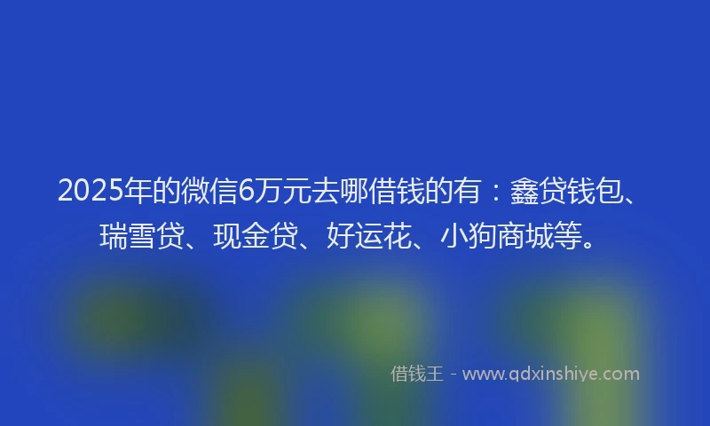 2025年的微信6万元去哪借钱的有：鑫贷钱包、瑞雪贷、现金贷、好运花、小狗商城等。