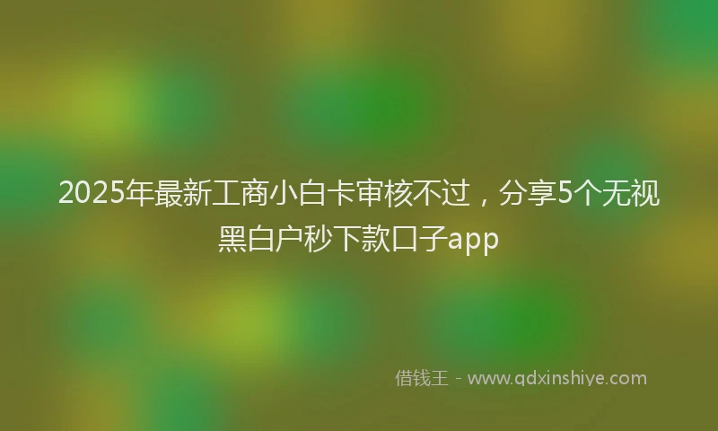 2025年最新工商小白卡审核不过，分享5个无视黑白户秒下款口子app