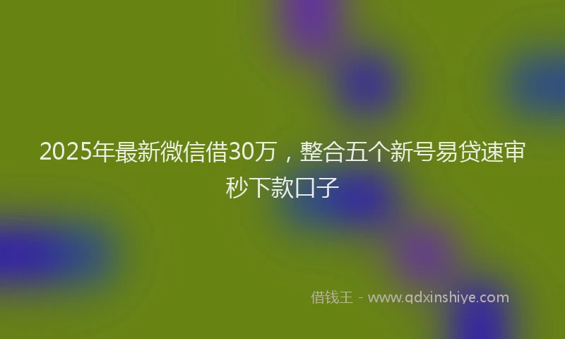 2025年最新微信借30万，整合五个新号易贷速审秒下款口子