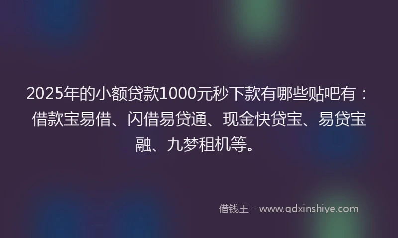 2025年的小额贷款1000元秒下款有哪些贴吧有：借款宝易借、闪借易贷通、现金快贷宝、易贷宝融、九梦租机等。