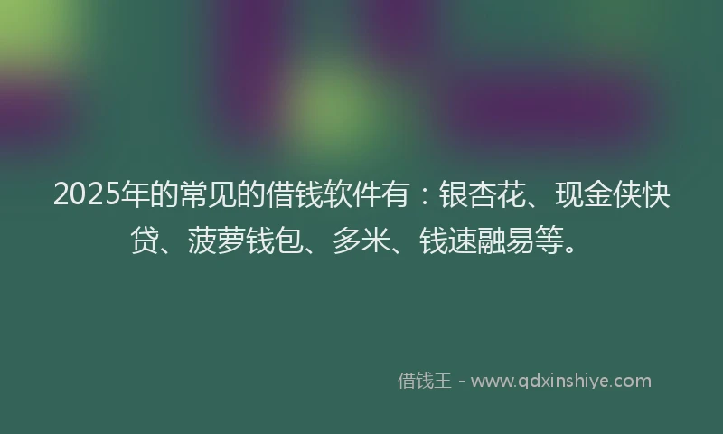 2025年的常见的借钱软件有:银杏花、现金侠快贷、菠萝钱包、多米、钱速融易等。