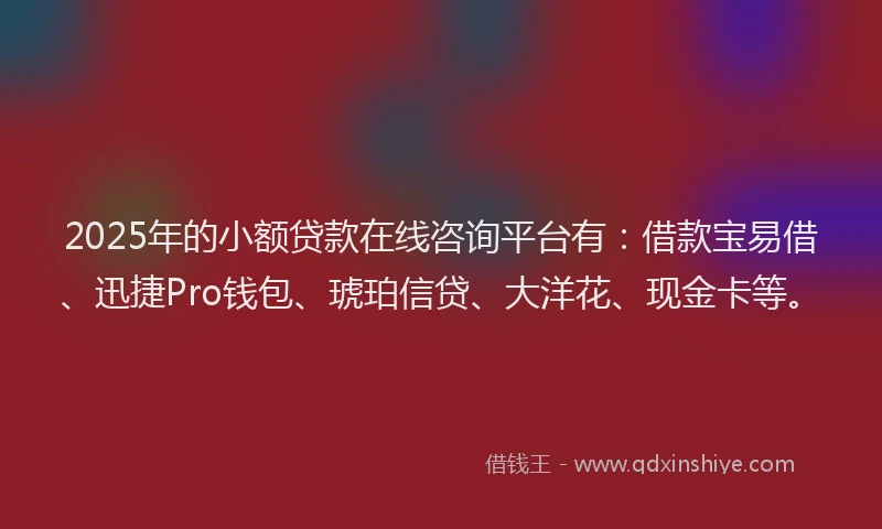 2025年的小额贷款在线咨询平台有：借款宝易借、迅捷Pro钱包、琥珀信贷、大洋花、现金卡等。