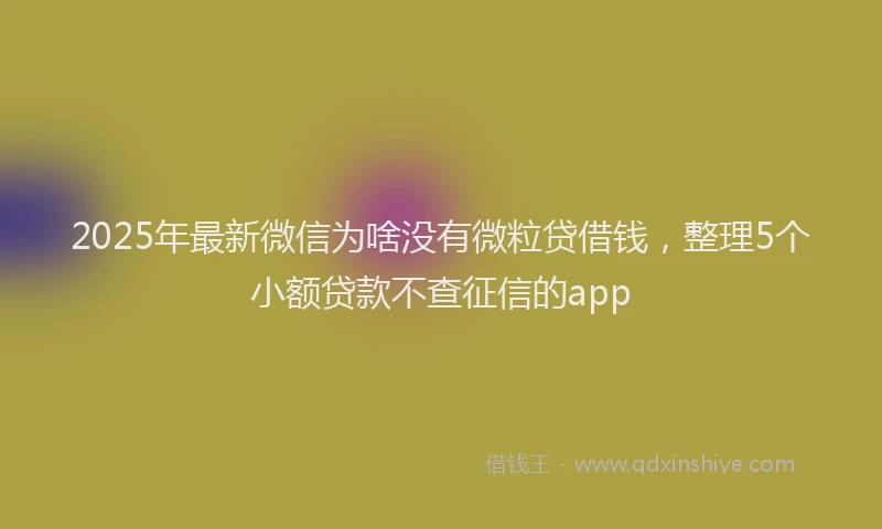 2025年最新微信为啥没有微粒贷借钱，整理5个小额贷款不查征信的app