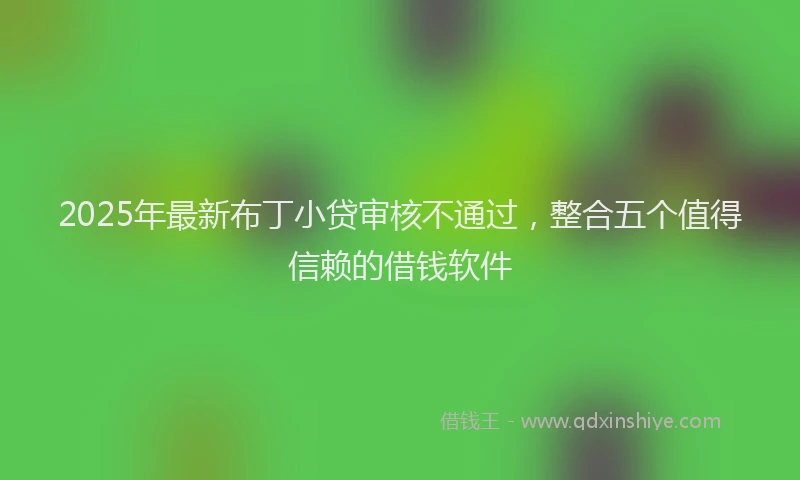 2025年最新布丁小贷审核不通过，整合五个值得信赖的借钱软件