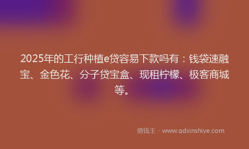 2025年的工行种植e贷容易下款吗有：钱袋速融宝、金色花、分子贷宝盒、现租柠檬、极客商城等。