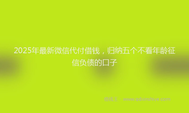2025年最新微信代付借钱，归纳五个不看年龄征信负债的口子