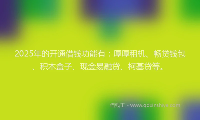 2025年的开通借钱功能有：厚厚租机、畅贷钱包、积木盒子、现金易融贷、柯基贷等。