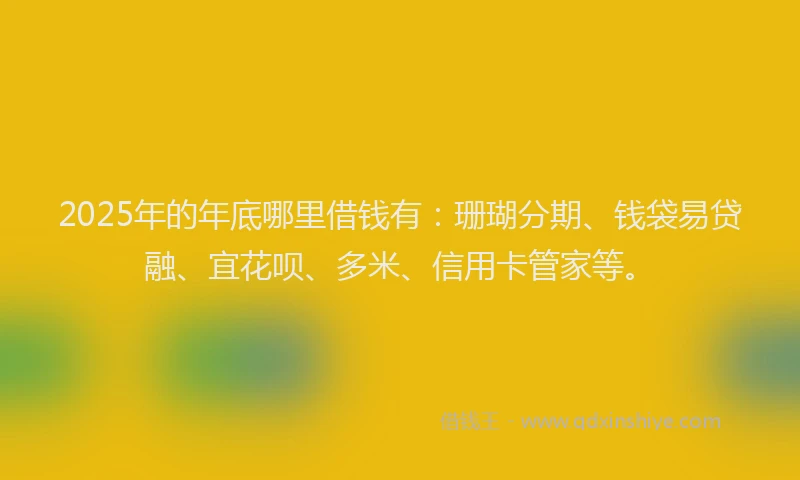 2025年的年底哪里借钱有：珊瑚分期、钱袋易贷融、宜花呗、多米、信用卡管家等。