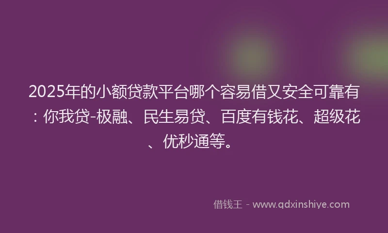 2025年的小额贷款平台哪个容易借又安全可靠有：你我贷-极融、民生易贷、百度有钱花、超级花、优秒通等。