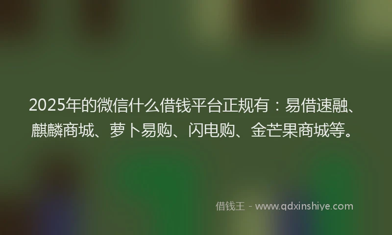 2025年的微信什么借钱平台正规有：易借速融、麒麟商城、萝卜易购、闪电购、金芒果商城等。
