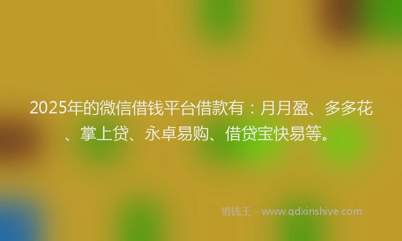 2025年的微信借钱平台借款有：月月盈、多多花、掌上贷、永卓易购、借贷宝快易等。