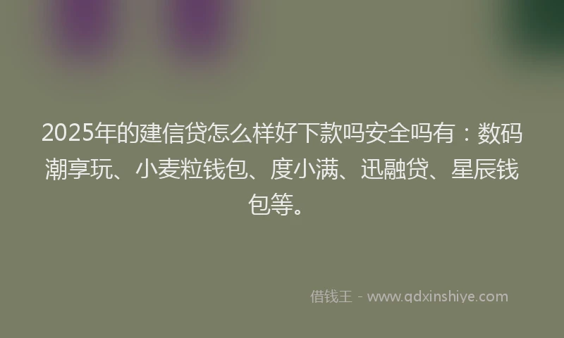 2025年的建信贷怎么样好下款吗安全吗有：数码潮享玩、小麦粒钱包、度小满、迅融贷、星辰钱包等。