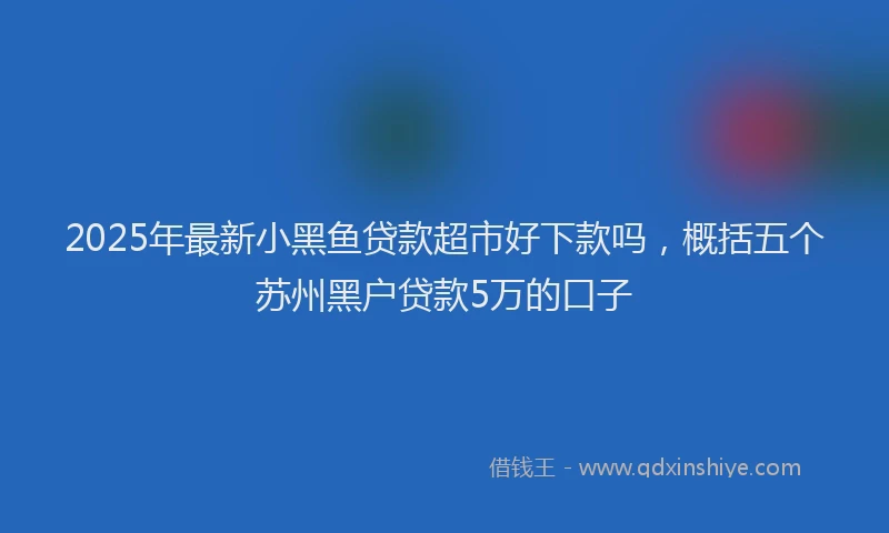 2025年最新小黑鱼贷款超市好下款吗，概括五个苏州黑户贷款5万的口子
