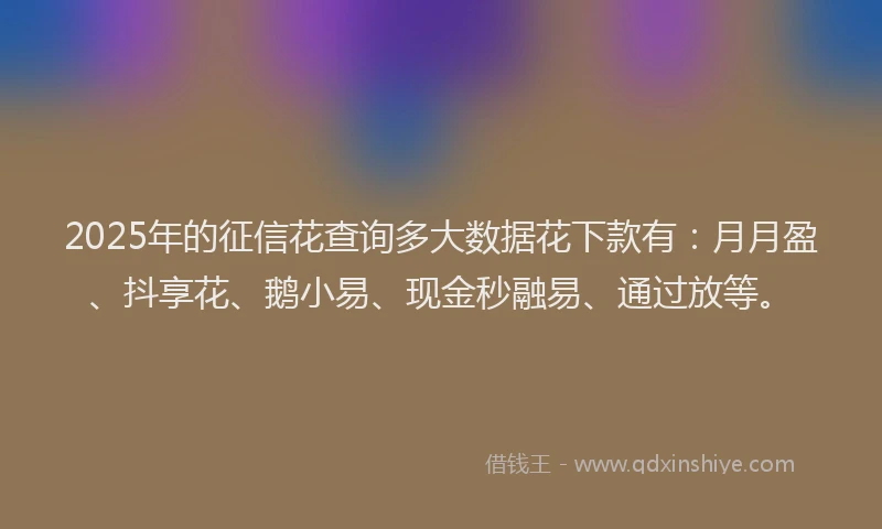 2025年的征信花查询多大数据花下款有：月月盈、抖享花、鹅小易、现金秒融易、通过放等。