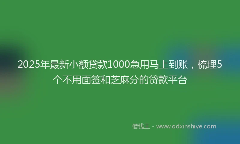 2025年最新小额贷款1000急用马上到账，梳理5个不用面签和芝麻分的贷款平台