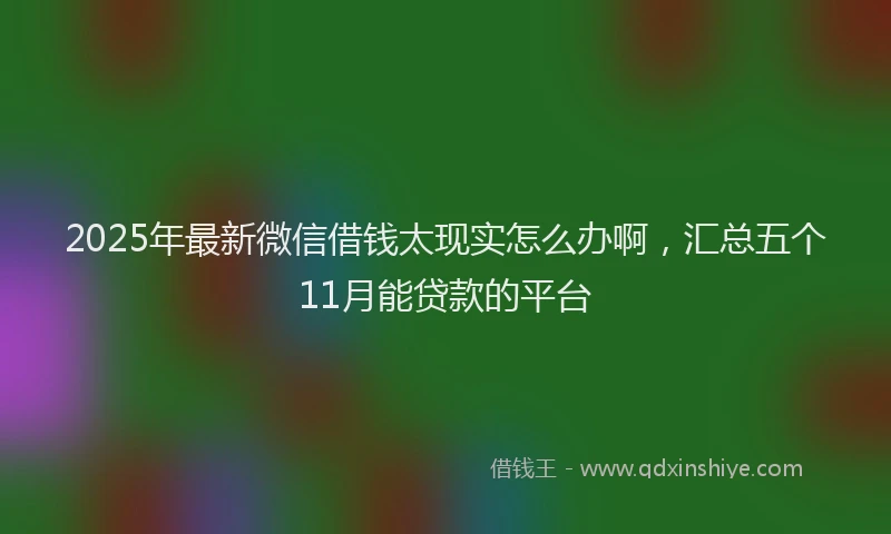 2025年最新微信借钱太现实怎么办啊，汇总五个11月能贷款的平台