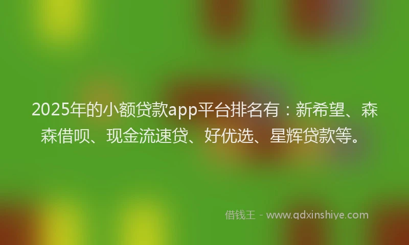2025年的小额贷款app平台排名有：新希望、森森借呗、现金流速贷、好优选、星辉贷款等。