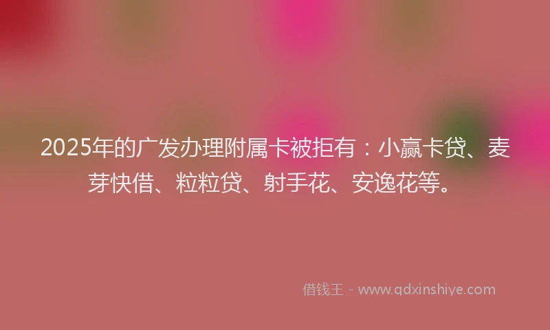 2025年的广发办理附属卡被拒有：小赢卡贷、麦芽快借、粒粒贷、射手花、安逸花等。