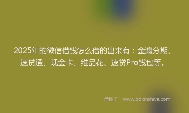 2025年的微信借钱怎么借的出来有：金瀛分期、速贷通、现金卡、维品花、速贷Pro钱包等。