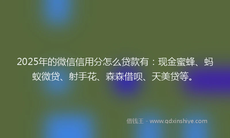 2025年的微信信用分怎么贷款有：现金蜜蜂、蚂蚁微贷、射手花、森森借呗、天美贷等。