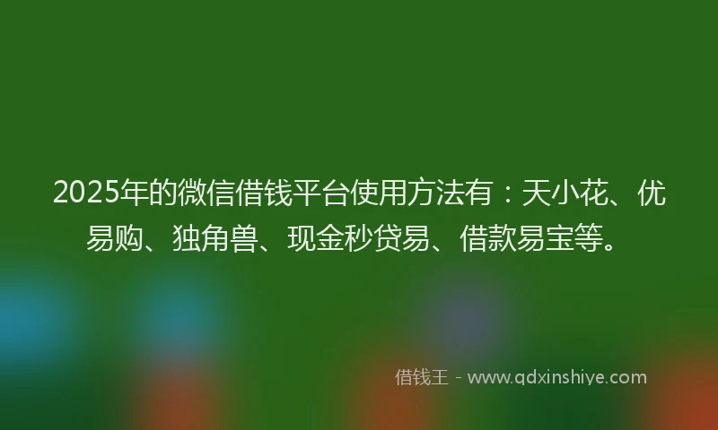 2025年的微信借钱平台使用方法有：天小花、优易购、独角兽、现金秒贷易、借款易宝等。