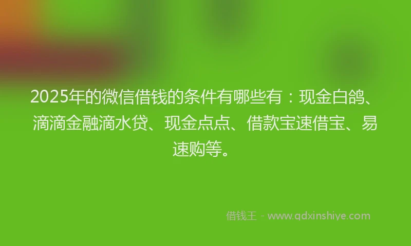 2025年的微信借钱的条件有哪些有：现金白鸽、滴滴金融滴水贷、现金点点、借款宝速借宝、易速购等。