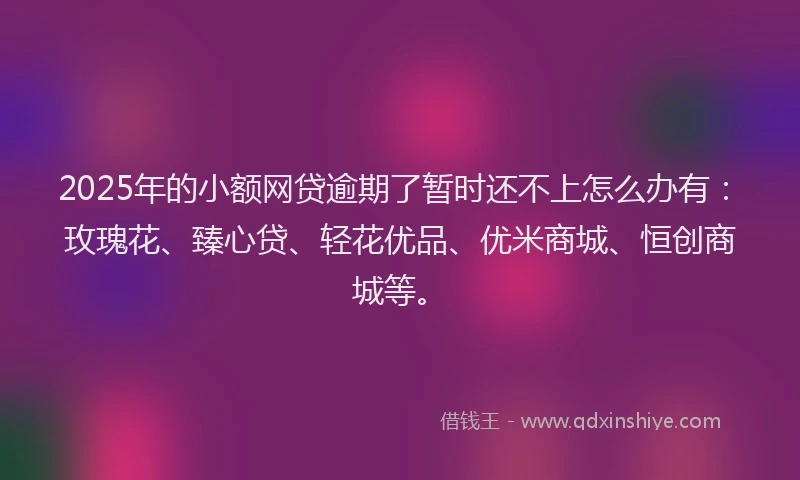 2025年的小额网贷逾期了暂时还不上怎么办有：玫瑰花、臻心贷、轻花优品、优米商城、恒创商城等。