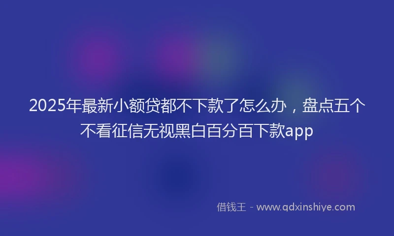 2025年最新小额贷都不下款了怎么办，盘点五个不看征信无视黑白百分百下款app