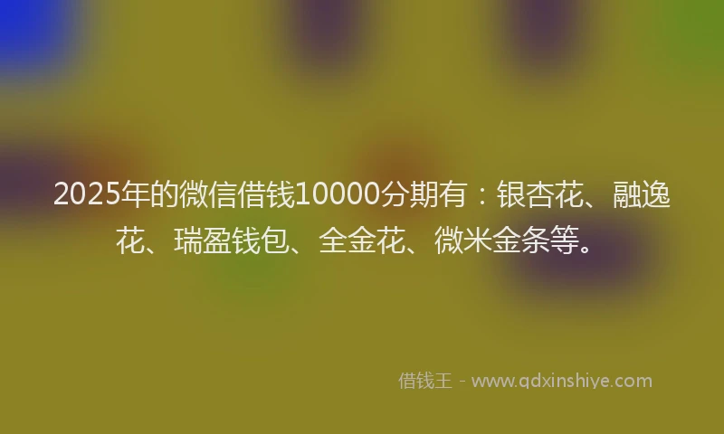 2025年的微信借钱10000分期有：银杏花、融逸花、瑞盈钱包、全金花、微米金条等。