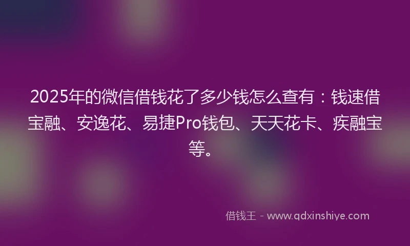 2025年的微信借钱花了多少钱怎么查有：钱速借宝融、安逸花、易捷Pro钱包、天天花卡、疾融宝等。