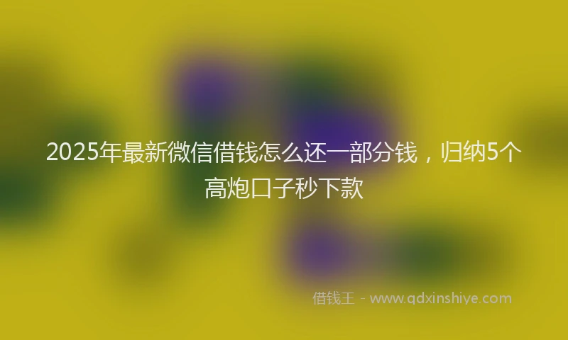2025年最新微信借钱怎么还一部分钱，归纳5个高炮口子秒下款