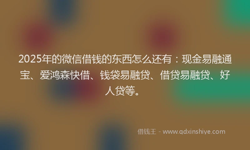 2025年的微信借钱的东西怎么还有：现金易融通宝、爱鸿森快借、钱袋易融贷、借贷易融贷、好人贷等。