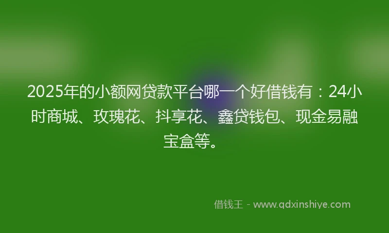 2025年的小额网贷款平台哪一个好借钱有：24小时商城、玫瑰花、抖享花、鑫贷钱包、现金易融宝盒等。