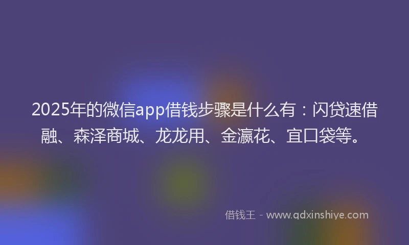 2025年的微信app借钱步骤是什么有：闪贷速借融、森泽商城、龙龙用、金瀛花、宜口袋等。