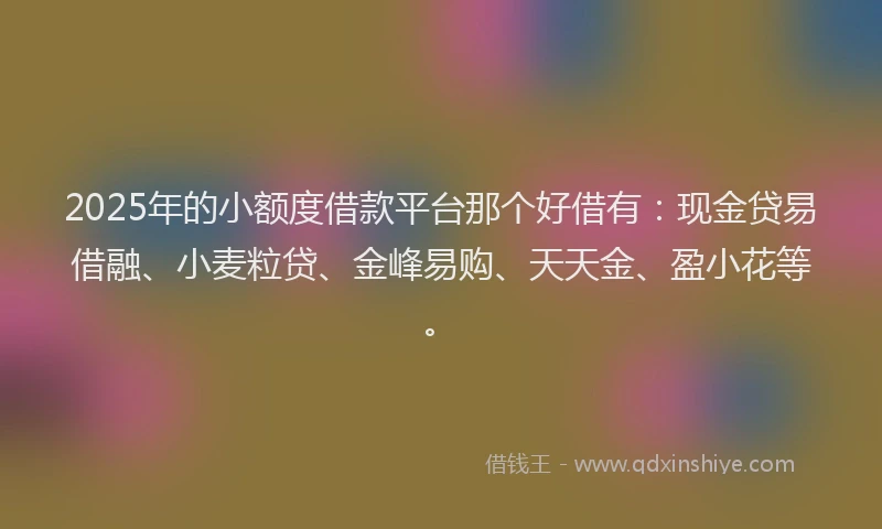 2025年的小额度借款平台那个好借有：现金贷易借融、小麦粒贷、金峰易购、天天金、盈小花等。