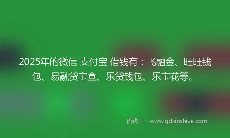 2025年的微信 支付宝 借钱有：飞融金、旺旺钱包、易融贷宝盒、乐贷钱包、乐宝花等。