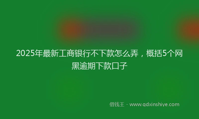 2025年最新工商银行不下款怎么弄，概括5个网黑逾期下款口子