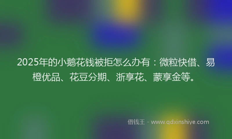 2025年的小鹅花钱被拒怎么办有：微粒快借、易橙优品、花豆分期、浙享花、蒙享金等。