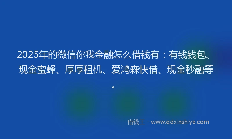 2025年的微信你我金融怎么借钱有：有钱钱包、现金蜜蜂、厚厚租机、爱鸿森快借、现金秒融等。