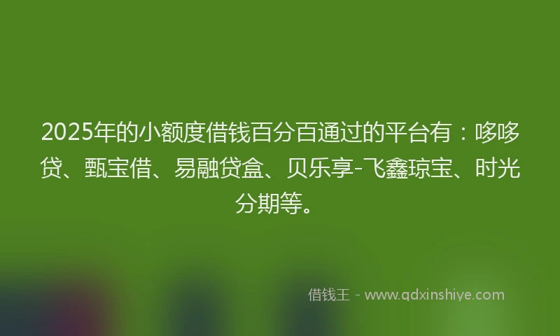 2025年的小额度借钱百分百通过的平台有：哆哆贷、甄宝借、易融贷盒、贝乐享-飞鑫琼宝、时光分期等。