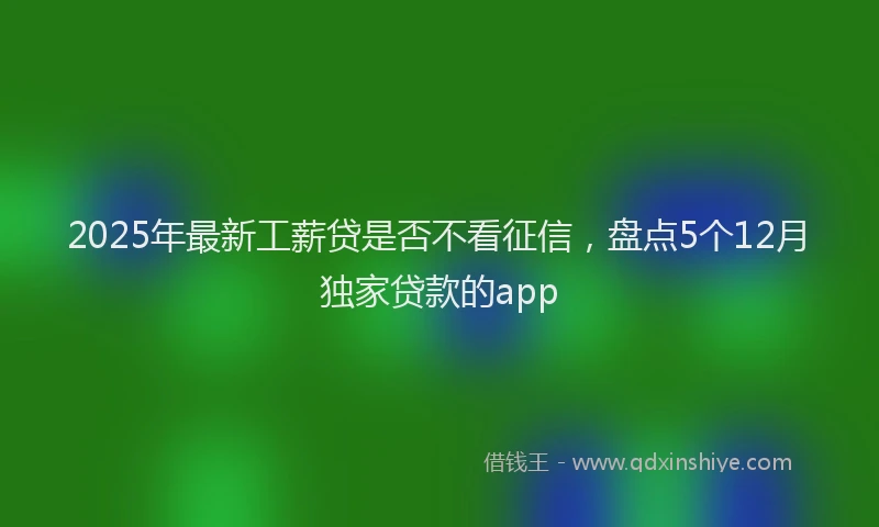 2025年最新工薪贷是否不看征信，盘点5个12月独家贷款的app
