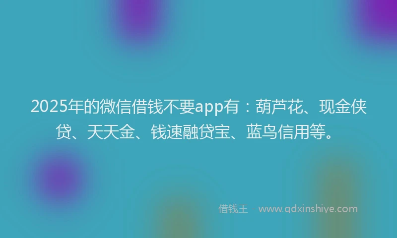 2025年的微信借钱不要app有：葫芦花、现金侠贷、天天金、钱速融贷宝、蓝鸟信用等。