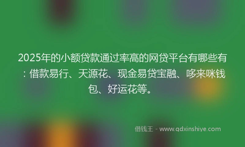 2025年的小额贷款通过率高的网贷平台有哪些有：借款易行、天源花、现金易贷宝融、哆来咪钱包、好运花等。