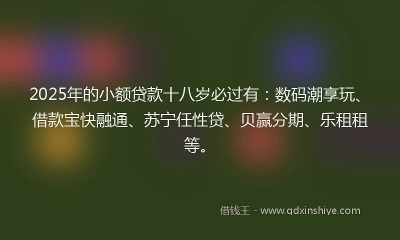 2025年的小额贷款十八岁必过有：数码潮享玩、借款宝快融通、苏宁任性贷、贝赢分期、乐租租等。