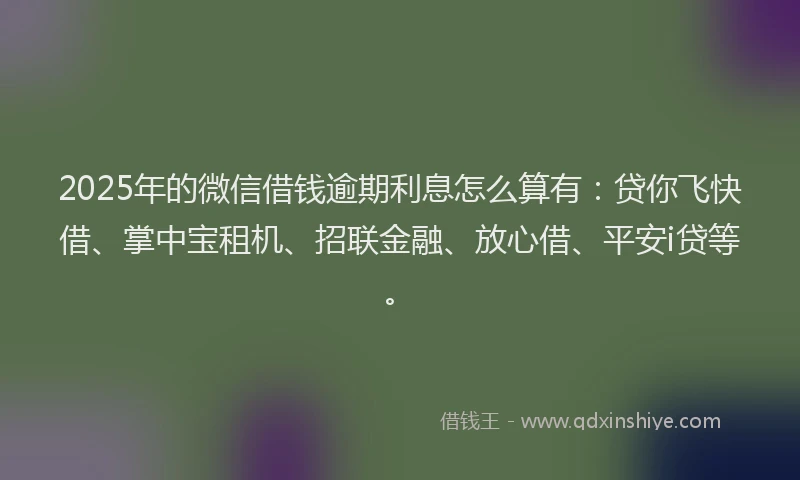 2025年的微信借钱逾期利息怎么算有：贷你飞快借、掌中宝租机、招联金融、放心借、平安i贷等。