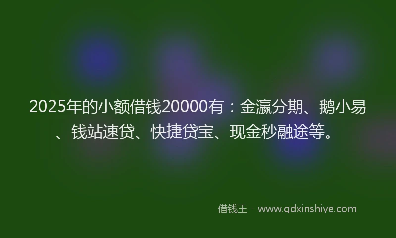 2025年的小额借钱20000有：金瀛分期、鹅小易、钱站速贷、快捷贷宝、现金秒融途等。