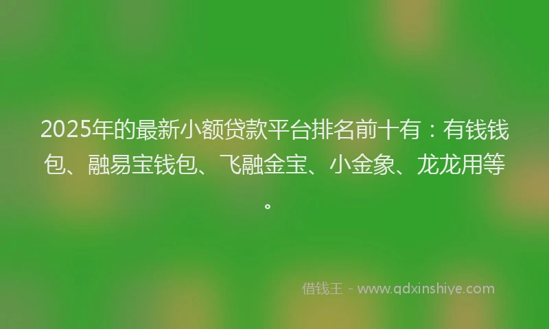 2025年的最新小额贷款平台排名前十有:有钱钱包、融易宝钱包、飞融金宝、小金象、龙龙用等。