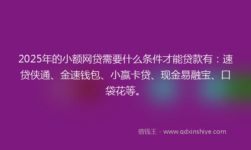 2025年的小额网贷需要什么条件才能贷款有：速贷侠通、金速钱包、小赢卡贷、现金易融宝、口袋花等。