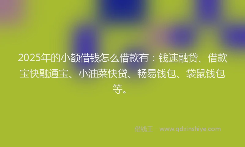 2025年的小额借钱怎么借款有：钱速融贷、借款宝快融通宝、小油菜快贷、畅易钱包、袋鼠钱包等。