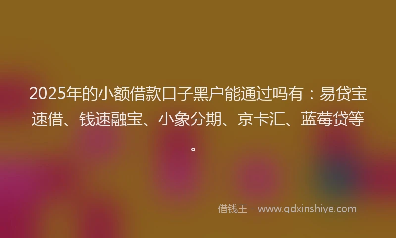 2025年的小额借款口子黑户能通过吗有：易贷宝速借、钱速融宝、小象分期、京卡汇、蓝莓贷等。